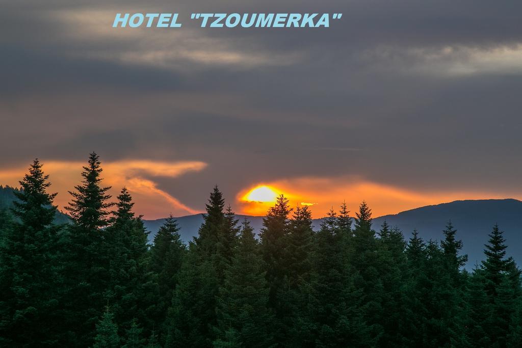 Hotel Tzoumerka Prámanta Exterior foto